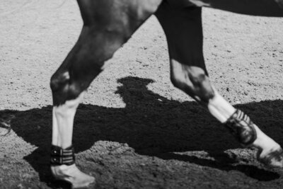 Black and white detail shot for a private client horse show in Caledon Equestrian Park by an equine photographer
