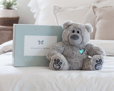TeddyBear-2023-11-22-10