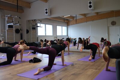 Body Reseten mit dem Detox Guide