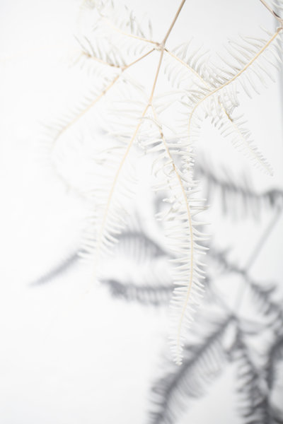 sourced-co-stock-photography-wedding-pros-publications-28