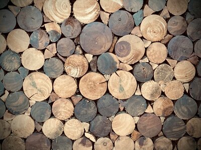 Image of wood logs, symbolizing strength