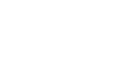 Barbara Daamen Fotografie, Hondenfotograaf, Hondenfotografie, Tilburg, Noord Brabant,