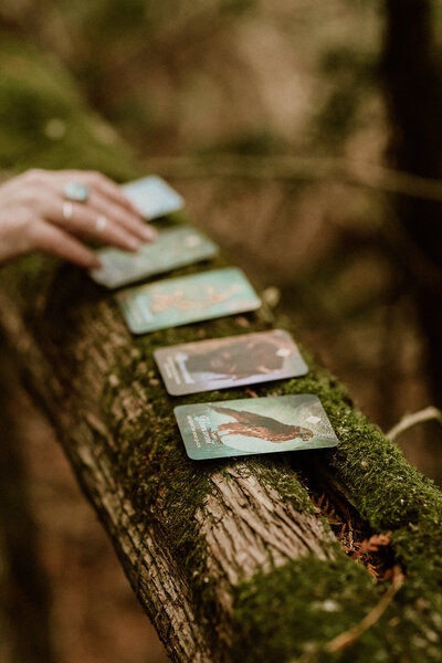oracle cards displayed on tree 