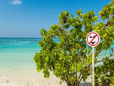 bikini beach maldives