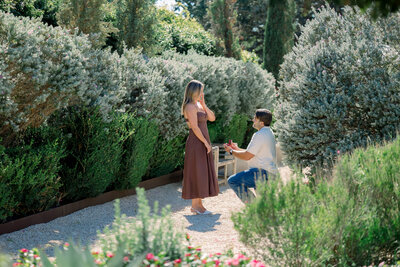 Emotional vineyard proposal at Signor Vineyards in Texas Hill Country.