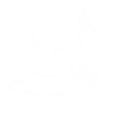 Icone oiseau blanc