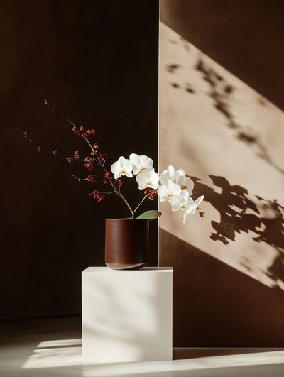hnědý květináč s bílou orchidejí na bílém podstavci, za ním je tmavě hnědé pozadí, kam dopadá sluneční světlo a vytváří světlo a stín