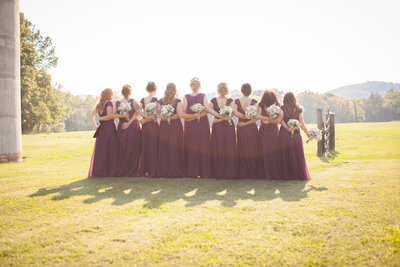 Wedding Photographer Jefferson County - St. louis - High Ridge Wedding portrait photographer