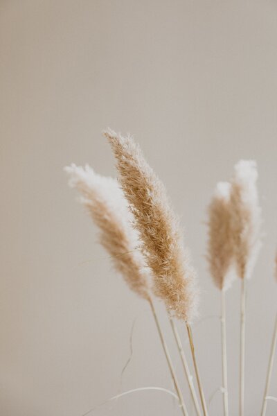 wheat flower prop