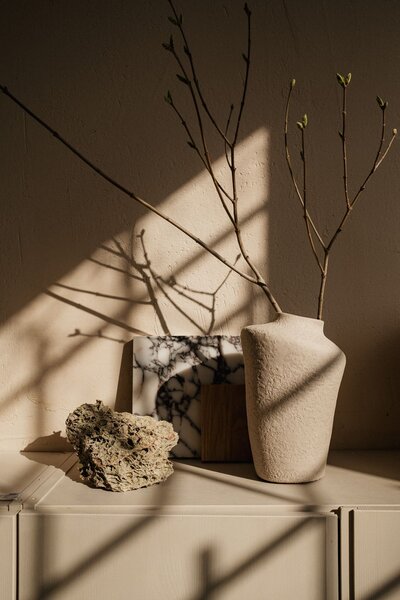 Contemporary decor with organic shapes and a vase with branches casting elegant shadows on the wall