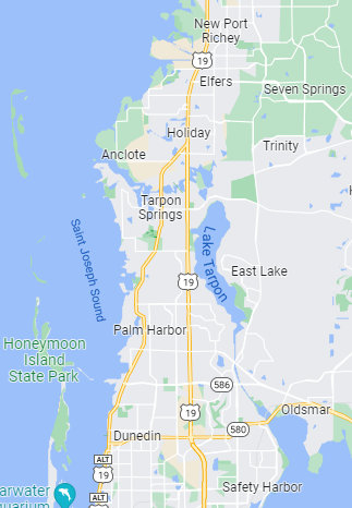 house cleaning service for north pinellas and west pasco county. tarpon springs, palm harbor, east lake, dunedin, oldsmar, safety harbor, trinity, elfers, seven springs, new port richey, port richey.