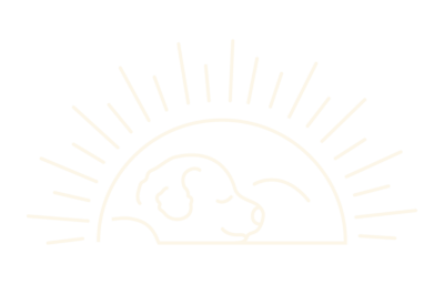 Sammy Copy icon logo
