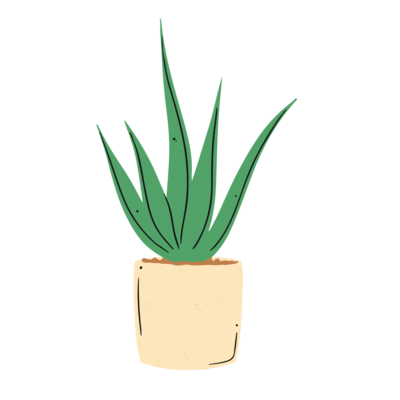 Illustrated Aloe Plant in Pot