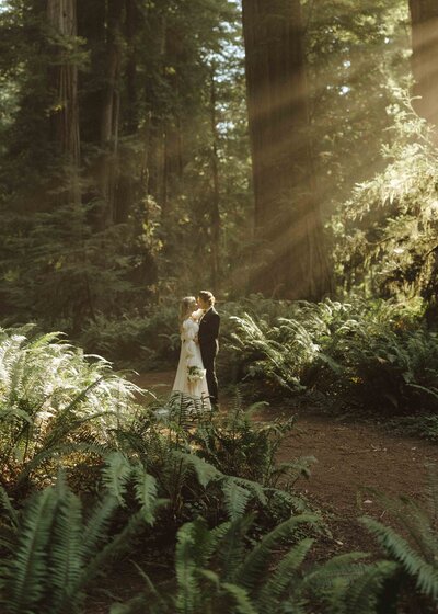Redwoods-Content-Day-Aug-2023-Megan-Schukei-Photography-4