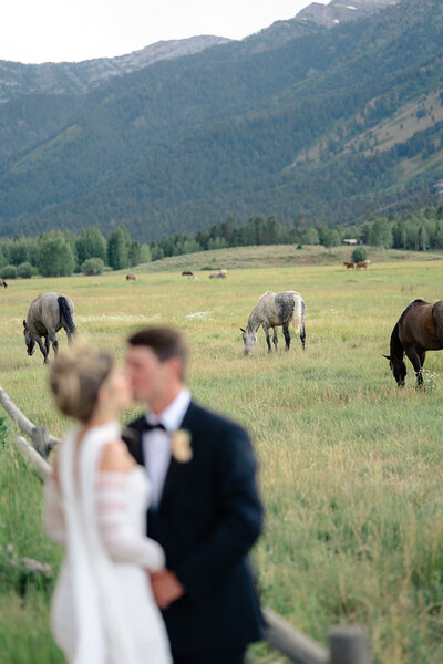 Lydia-Hunter-Wedding -Tree-Foxtails-Photography-136_websize