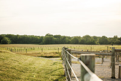 creekside35