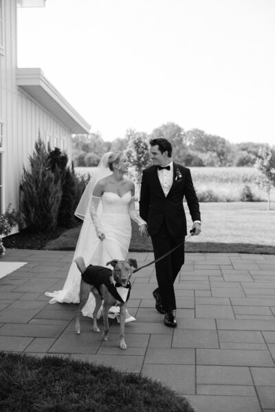 michigan wedding photographer