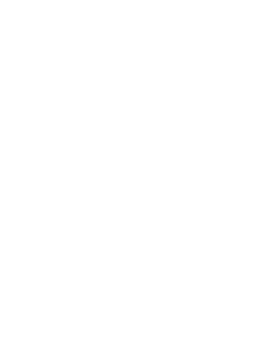 areli photo co logo