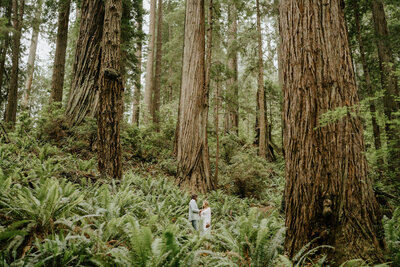 Christina Perhac Photography