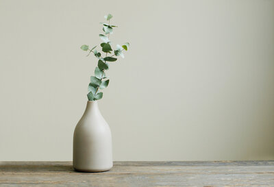 Green leaves in white vase. If you're looking for teen anxiety therapy in American Fork, UT, stop the search. Our teen therapists are here for you.