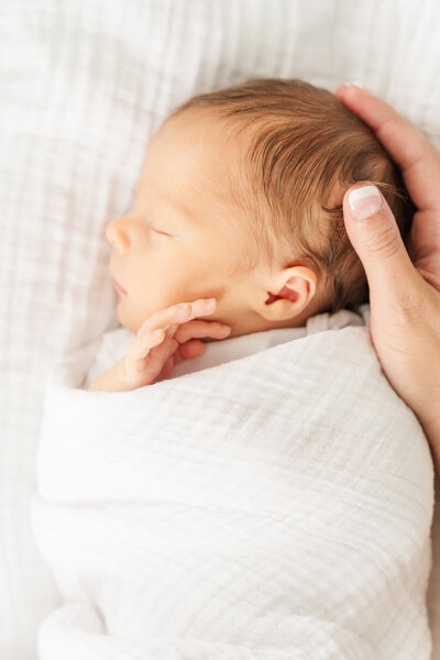minneapolis newborn photographers _0241