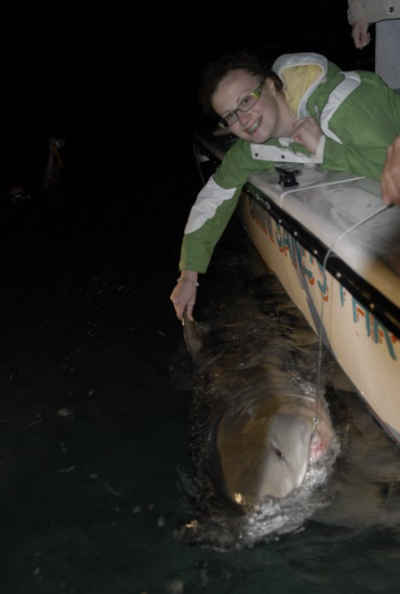 Katie tagging a shark