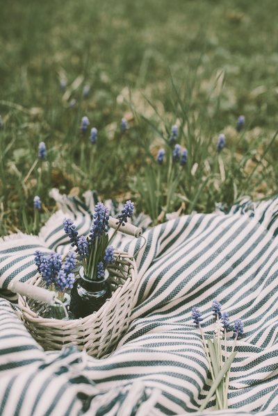 anita-austvika-1612763-unsplash