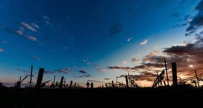 Bride and groom silhouette  against a sunset at Montaluce Winery in Dahlonega Georgia