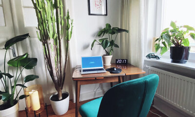 The photo shows a cozy home office setup. A small wooden desk is placed near a window, with a blue laptop open and displaying a screen saver. Next to the laptop is a digital clock showing '20:17'. There's a computer mouse to the right of the clock. The desk is surrounded by greenery; large indoor plants in pots are strategically placed around the room, adding a vibrant touch of nature to the space. On the windowsill, more plants are visible, along with a miniature green car ornament. The room is well-lit with natural light, and there is a teal office chair with a high back in front of the desk, inviting someone to sit and work.