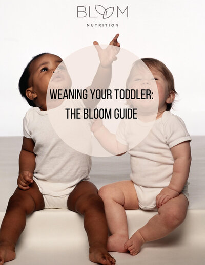 Toddler Weaning Guide Cover
