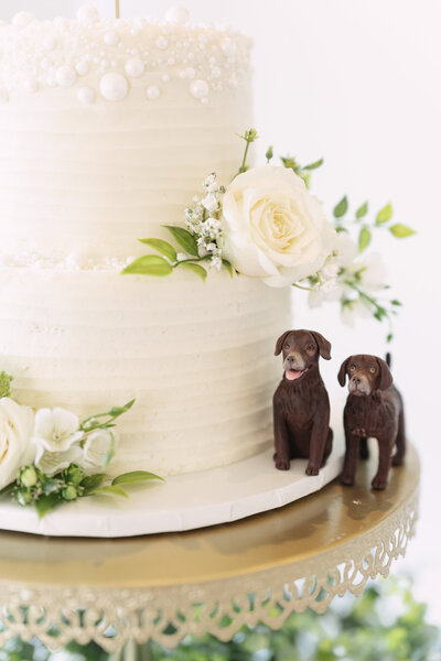 West Virginia Wedding Photographer, WVWedding, WVPhotographer