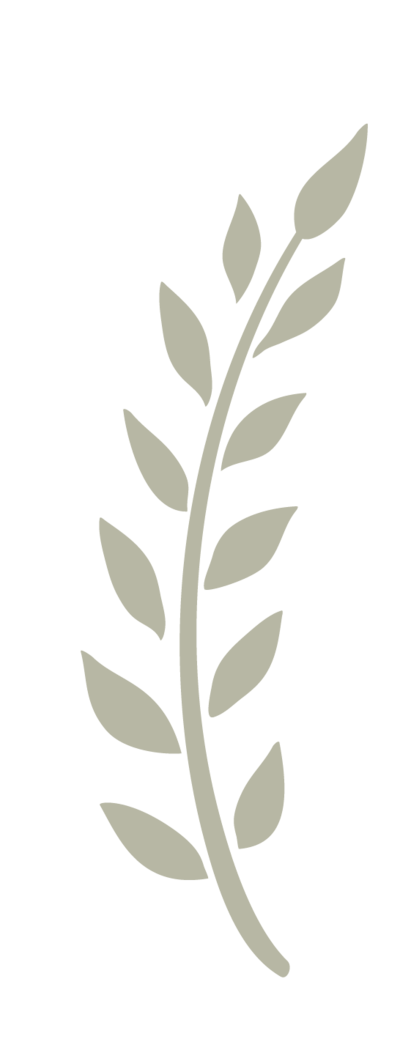 plant-textures-09