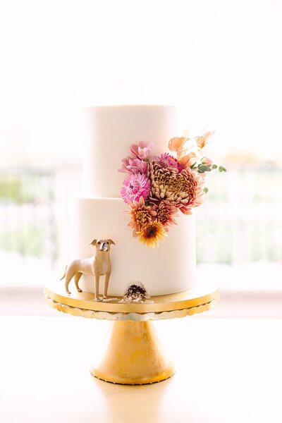 Dog eating couples cake at La Quinta Inn Country Club