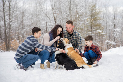 Family playing with two dogs | Family Photo Session