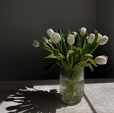 White tulips in a vase with natural shadows, reflecting beauty and self-care practices.
