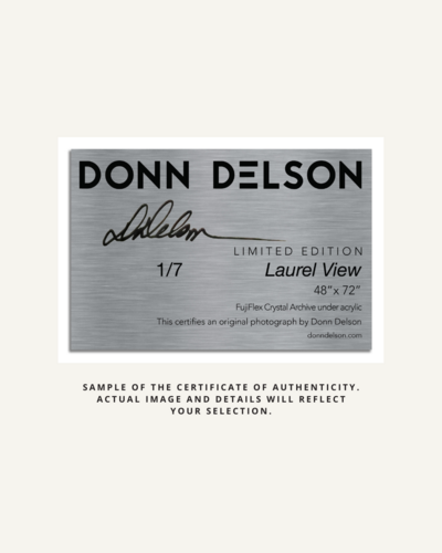 donn delson sample certificate