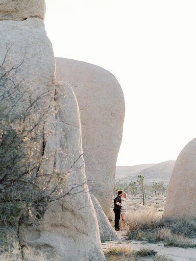 Magi Fisher_Palm Springs Engagement_MeaghanNick-497