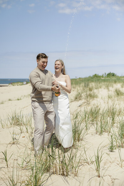Michigan Beach Proposal