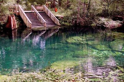 A wooden staircase leads into a clear, turquoise spring surrounded by lush greenery in Lafayette County, Florida. The water reflects the sky and trees, revealing rocky formations beneath the surface. Nearby, at Suwannee River Rendezvous camping, a red life preserver hangs on the railing.