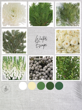 Winter Escape is is a winter-inspired wedding color palette, a sampling of blooms and colors found in our packages and arrangements - Just Bloom'd Weddings is a wedding florist in Sudbury, MA.