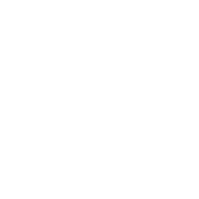 white version of lets coe photography logo