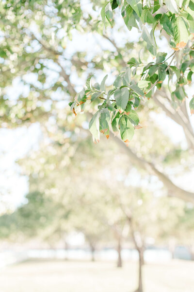 Arizona Couple, Family and Senior Photography - Bethie Grondin0039