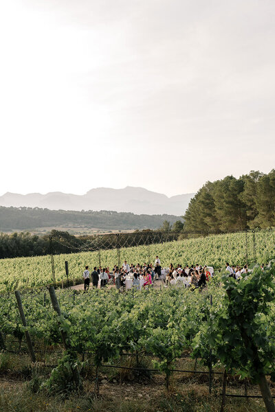 finca serena vineyard reception