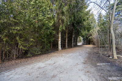 24 Worthington ravine (6)