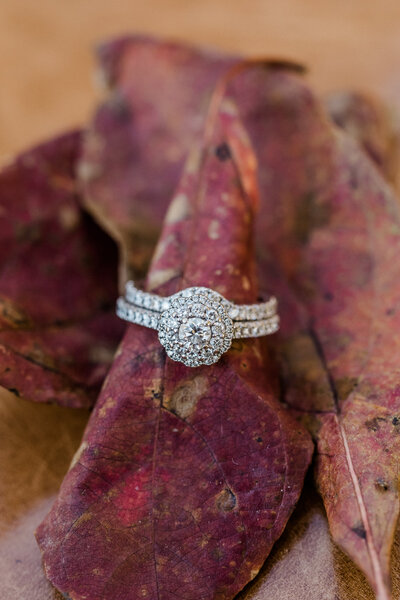 kristi_dylan_engaged-3025