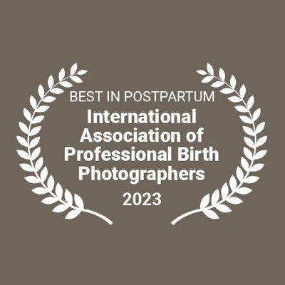 Best in Postpartum Award won by Natalie Broders