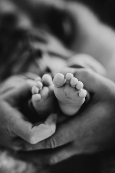 Schwarz-weiß Aufnahme von klitzekleinen Babyfüßen eines Neugeborenens.