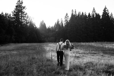 Newly married couple walking at sunset toward pine trees