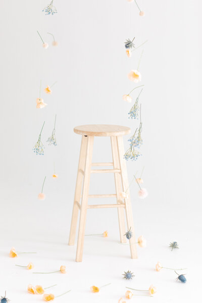 2025.03.17 Spring Install Jax Mini Sessions Studio-16018