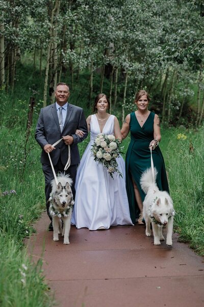 Bride walks down aisle with her dogs during Maroon Bells wedding.